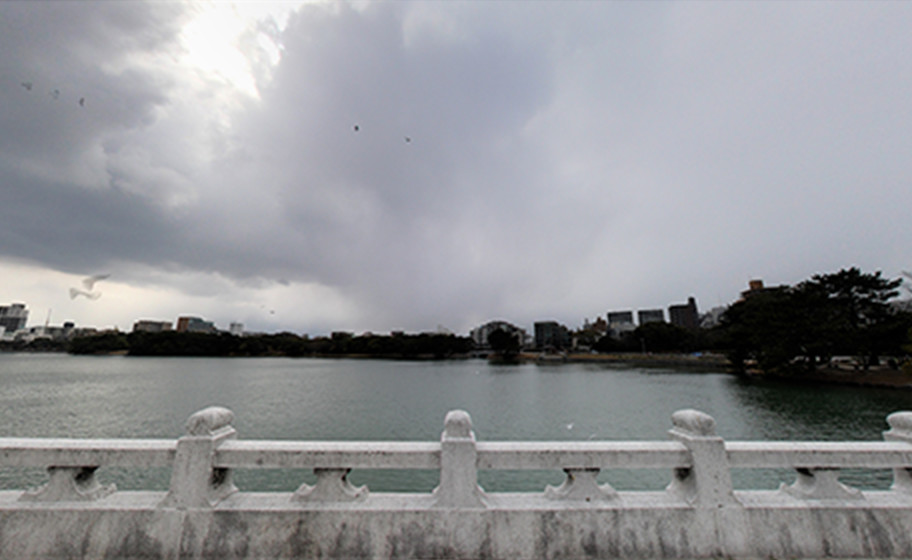 曇りの日の撮影